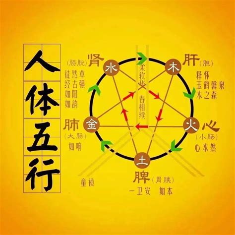 水克金|五行相克